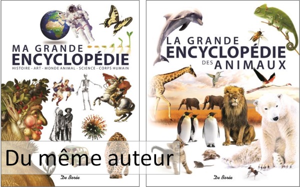 papillons
